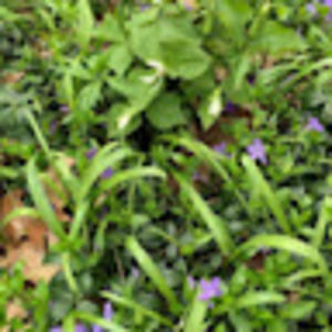 Meet your Posher, Gail